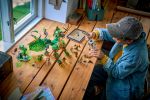 Конструктор LEGO Ninjago 71859 The Dragon of Life
