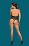 B 119 teddy