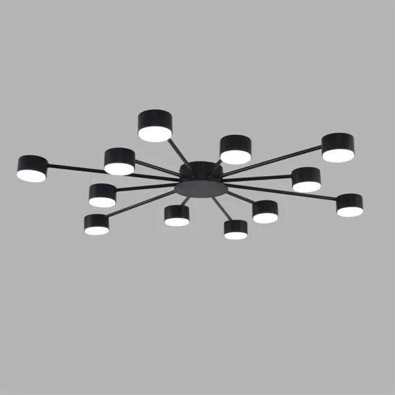 Потолочная люстра Torina 8344/12C Lumion