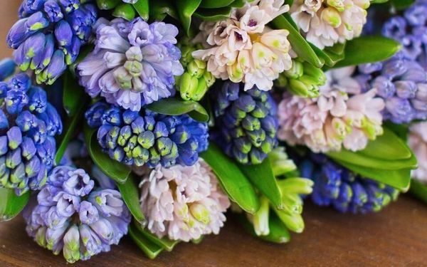 Букет из гиацинтов от студии особенной флористики FINE FLEUR Букет из гиацинтов от студии особенной флористики FINE FLEUR