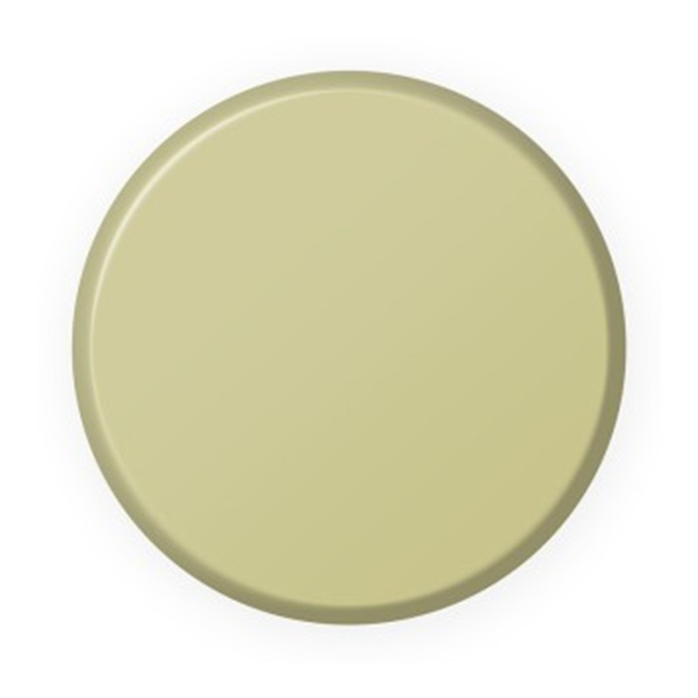 Выкрас Rotten Flesh — Ionic Smart Colors