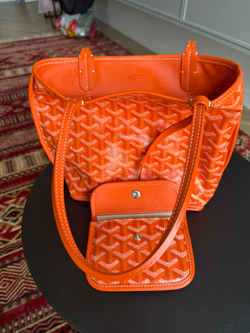 Сумка Goyard Anjou Mini