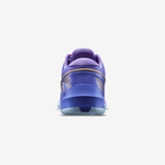 Кроссовки мужские TYR CXT-2 TRAINER (Фиолетовые)