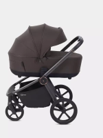 Коляска 2 в 1 Rant Flex Soft Therm Shine brown