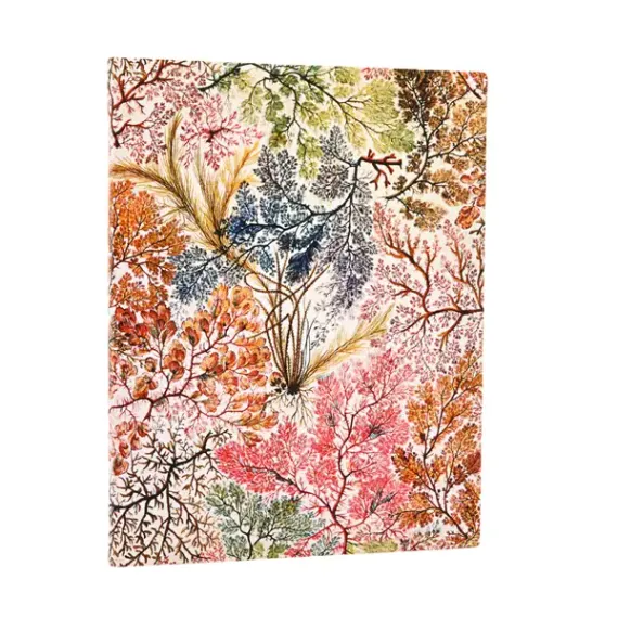 Bloknot \ Блокнот \ Notebook  William Kilburn / Anemone / Midi / Unlined