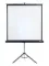 LMV-100101 Экран на штативе Lumien Master View