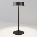 Аккумуляторный светильник Maytoni Porto O540TL-L2BCCT