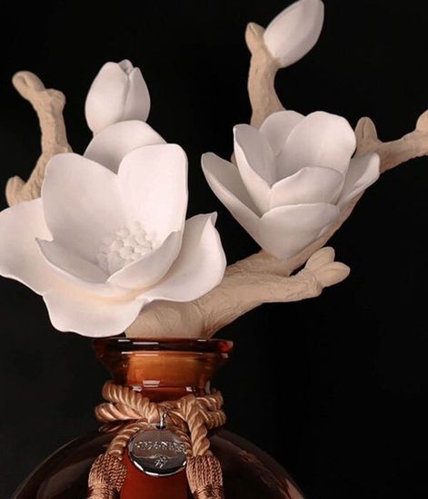 Magnolia, ароматический диффузор с необычными палочками, Chando