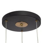 Подвесной светодиодный светильник Citilux TANNA CL253020