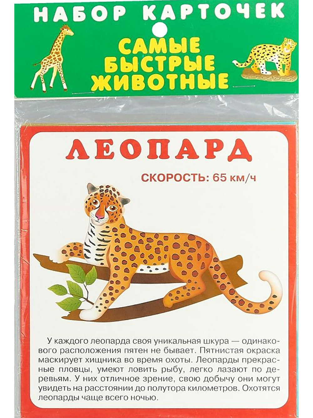 Самые быстрые животные (20 карточек)