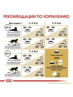 ROYAL CANIN British Shorthair Adult (Роял Канин Бритиш Шорт Эдалт) корм сухой для кошек 13 кг.