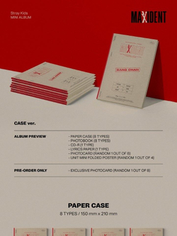 Альбом STRAY KIDS - MAXIDENT CASE Edition RANDOM Version