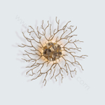 Wall lamp   CORAL by Serip (AP1488)