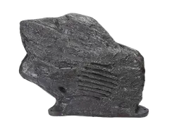 DSPPA DSP-644