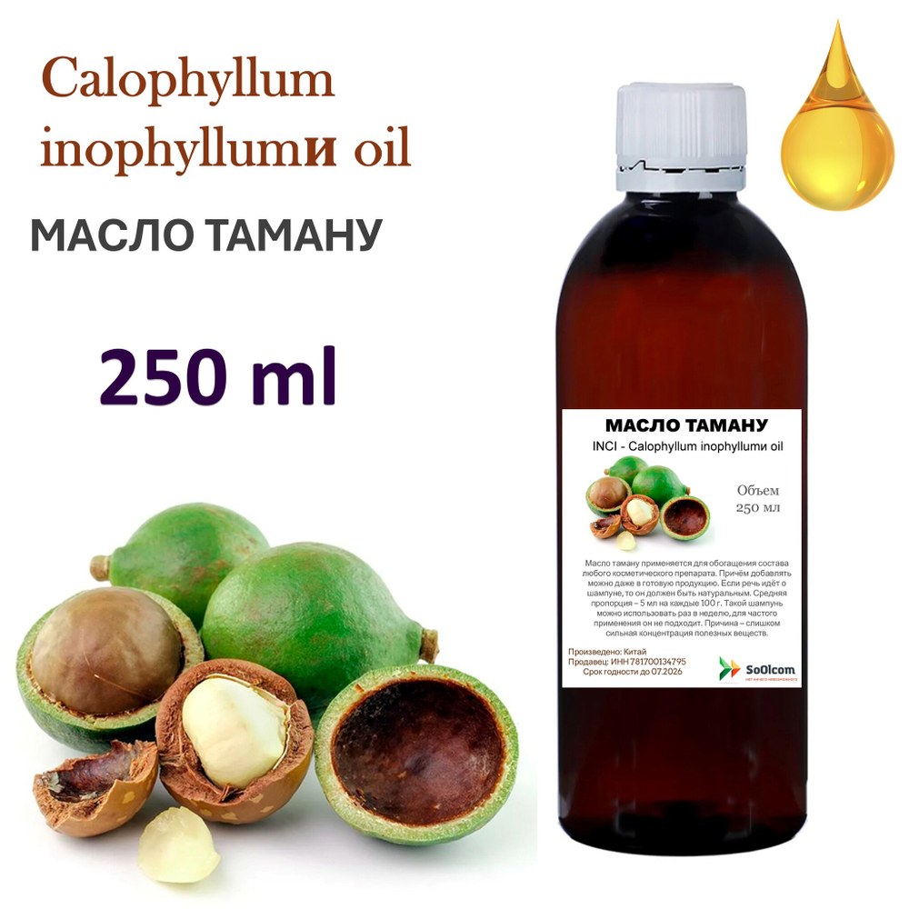 Масло таману / Calophyllum inophyllumи oil