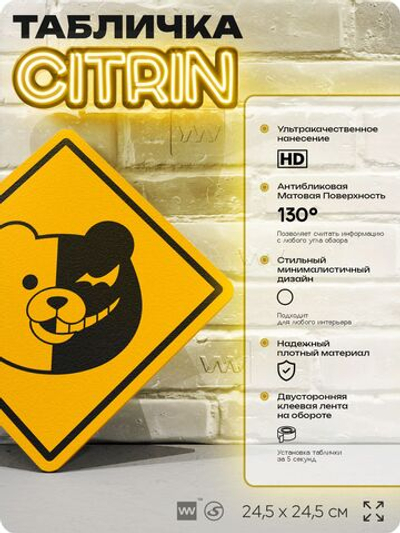 Табличка по аниме "Danganronpa" на дверь и стену, прикольная штука в подарок анимешнику, декоративный знак, 24,5х24,5 см, пластиковая, Айдентика Технолоджи
