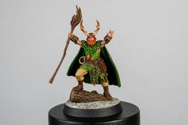 Миниатюра Magnetic Heroes: The Druid