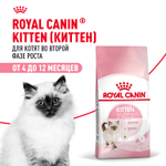 Royal Canin Kitten Киттен Корм сухой сбалансированный для котят в период второй фазы роста до 12 месяцев 10кг