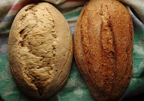 Корка и мякиш, пар и камень