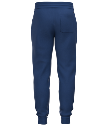 Мужские теннисные штаны Bj_rn Borg Essential 1 - estate blue