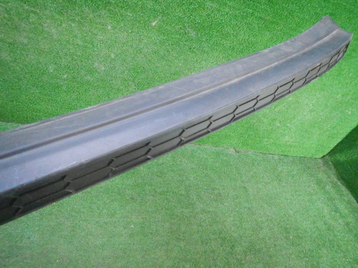 DSCN4611.JPG