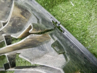 DSCN7586.jpg