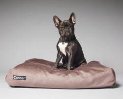Лежанка для собак Lounge Wood COBBER
