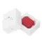 Apple AirPods Pro 3 Red Matte