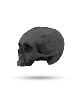 KOSTIN SKULL black