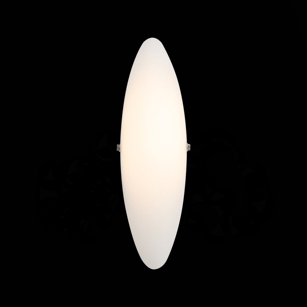 Светильник настенный ST Luce Snello SL508.511.01