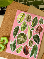 Стикерпак "Лианы" 🌱