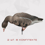 Белолобый гусь Duck Mania "ALFA"
