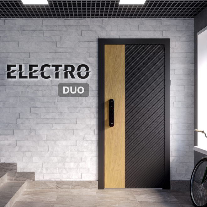 Входная дверь ELECTRO DUO