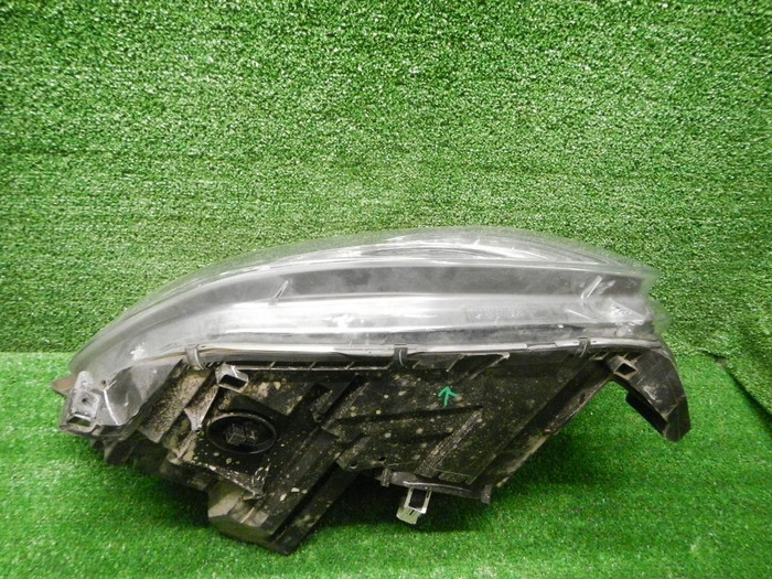DSCN8710.JPG