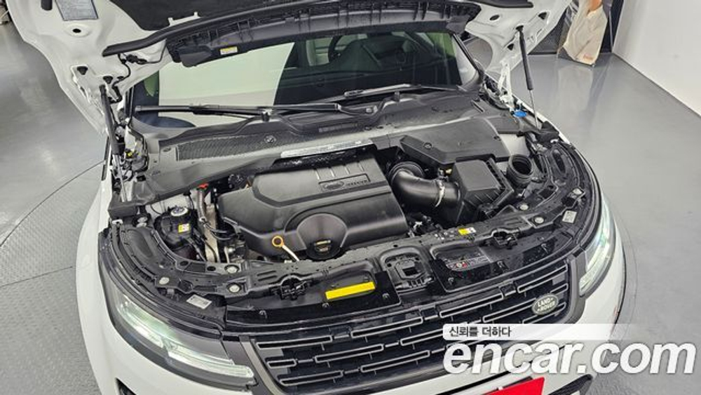 Land Rover Range Rover Evoque P250 Dynamic SE — 2025