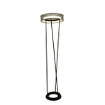 Торшер светодиодный Lumion ALVA 8370/30FL