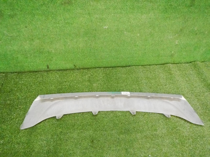 DSCN1228.jpg