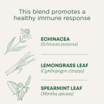 Traditional Medicinals, органическая эхинацея Plus®, оригинальная с мятой, без кофеина, 16 чайных пакетиков, 24 г (0,85 унции)