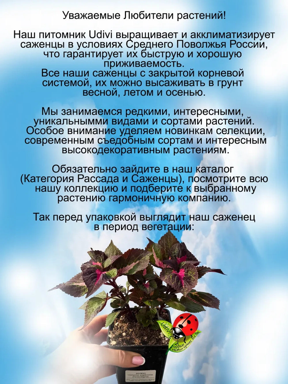 Перилла Магилла