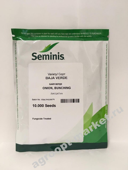 Байя Верде семена лука на перо (Seminis / Семинис) – фото 2