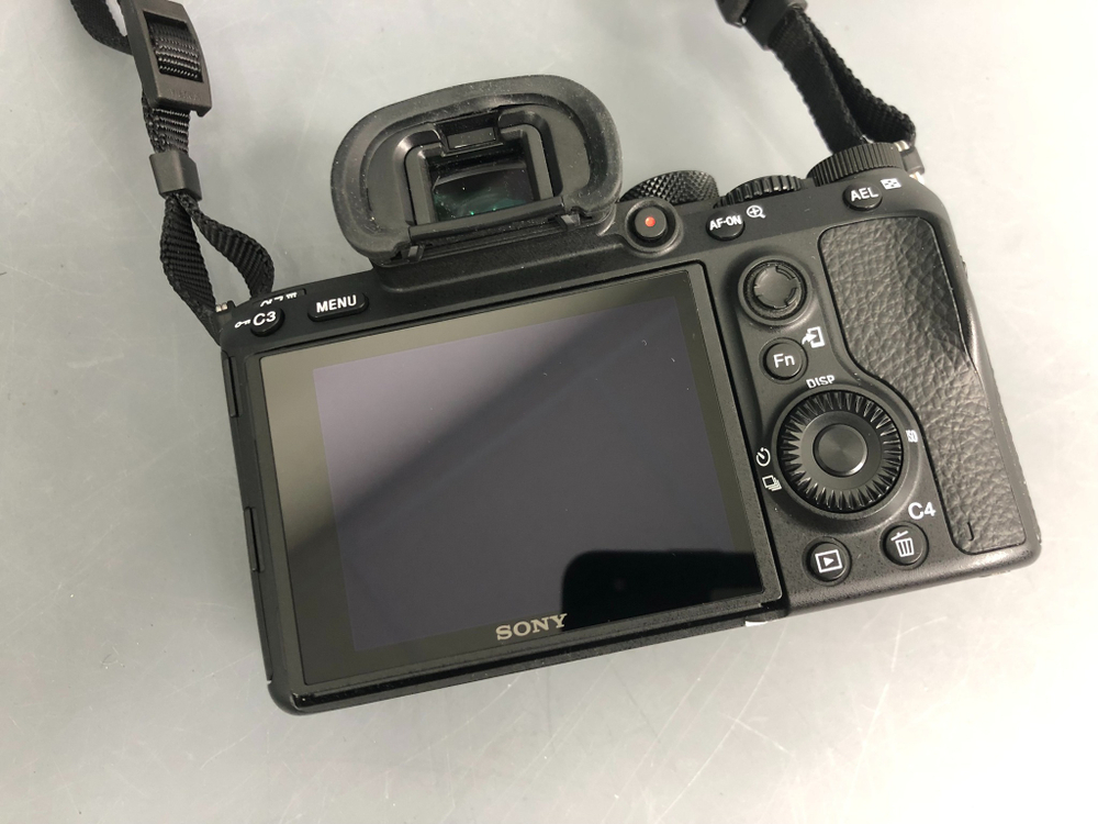 Sony A7 III (10.010 кадров)