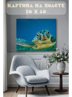 Картина на стену 40 X 50 Черепаха