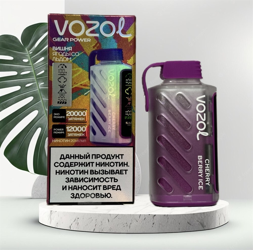 VOZOL GEAR POWER 20000