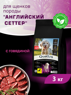 Корм сухой для щенков породы Английский сеттер, с говядиной, 3 кг, QUATTRO