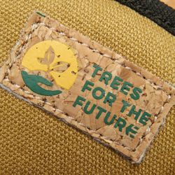 Кроссовки Etnies SCOUT X TFTF BONE