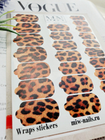 Плёнки Wraps stickers SF-69