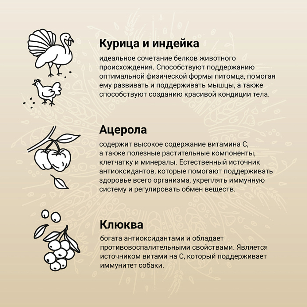Сухой корм CRAFTIA NATURA для щенков миниатюрных и мелких пород из курицы и индейки 640 г