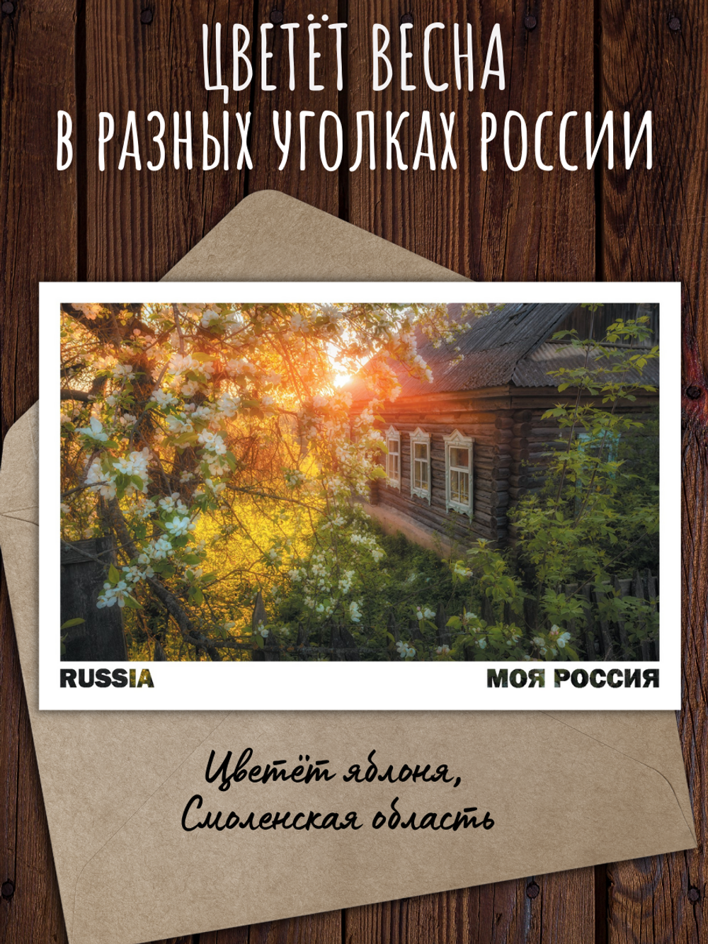 Моя Россия. Весна (выпуск №2, 2023)