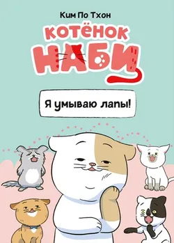 Котёнок Наби. Я умываю лапы!