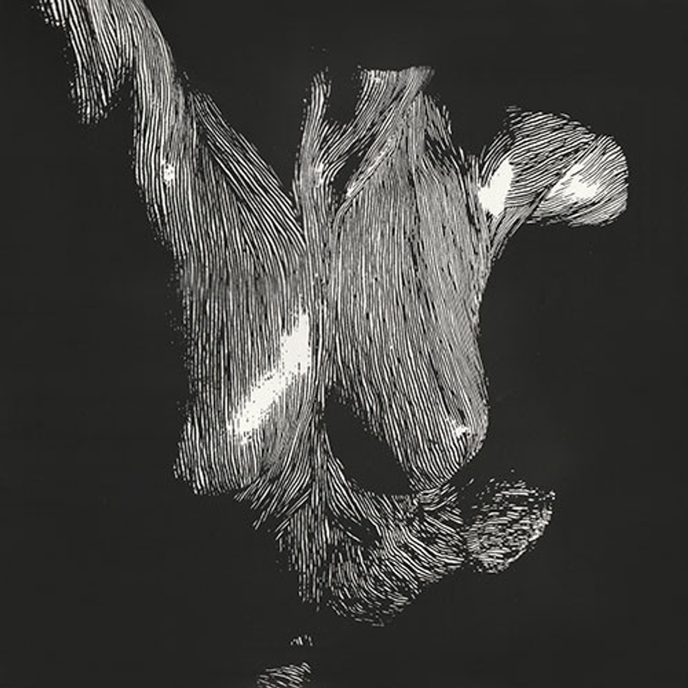 Oceansize - Self Preserved While The Bodies Float Up